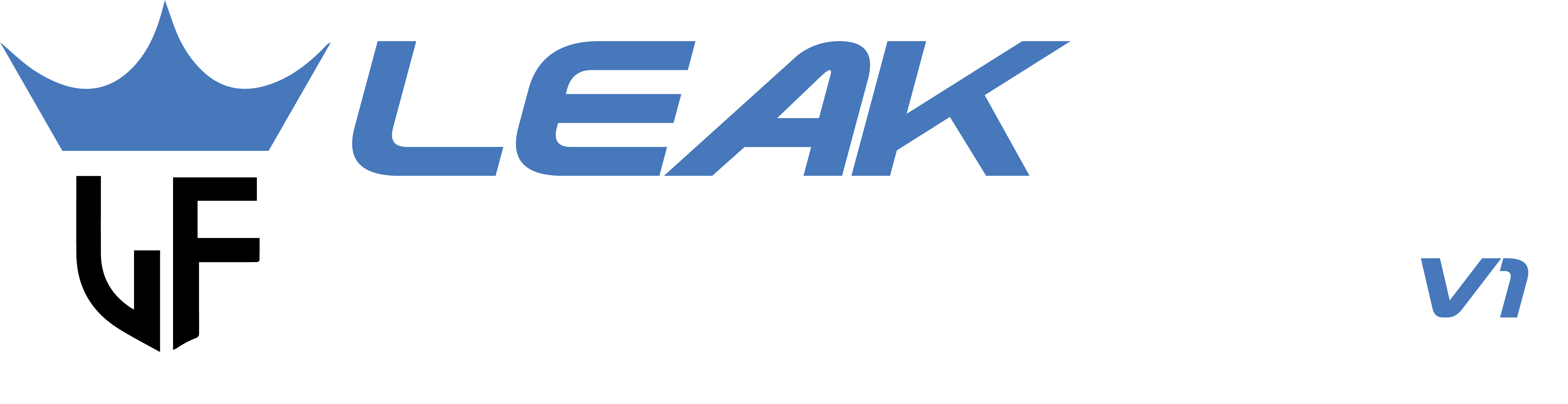 LeakForum