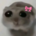 Sadhamster-coquette