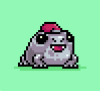 pignayki